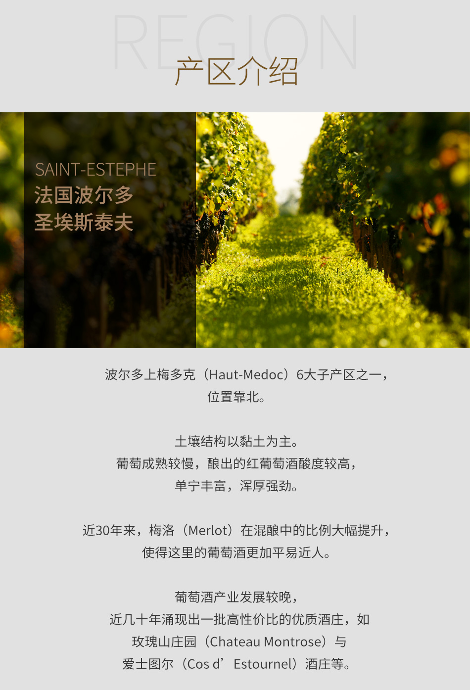 5c1fda18-1486-40b9-8e6c-d1744492d491.jpg